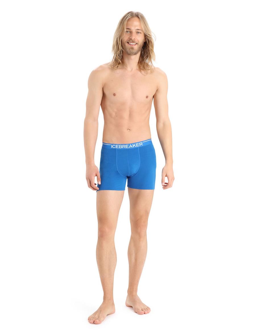 Icebreaker Merino Anatomica Boxers Férfi Fehérnemű Kék | HU 1311TCEV